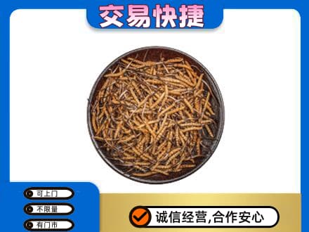 始兴县高价回收散虫草